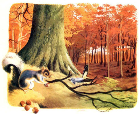 قصه کودکانه «سنجاب بازیگوش»-داستانهای مصور رنگی برای کودکان-ارشیو قصه و داستان ایپابفا